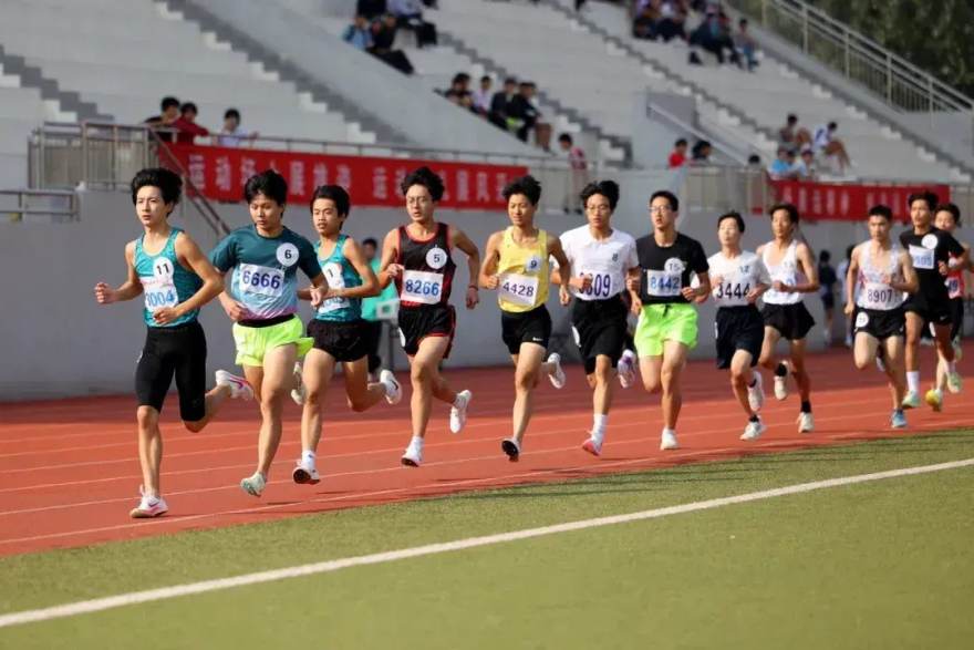 必一运动 免费体育直播软件怎么选？2026年高清观赛体验五项对比盘点 配图