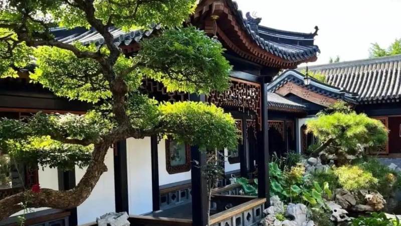 必一·运动 Bsports 发展历程养护体系阶段配图